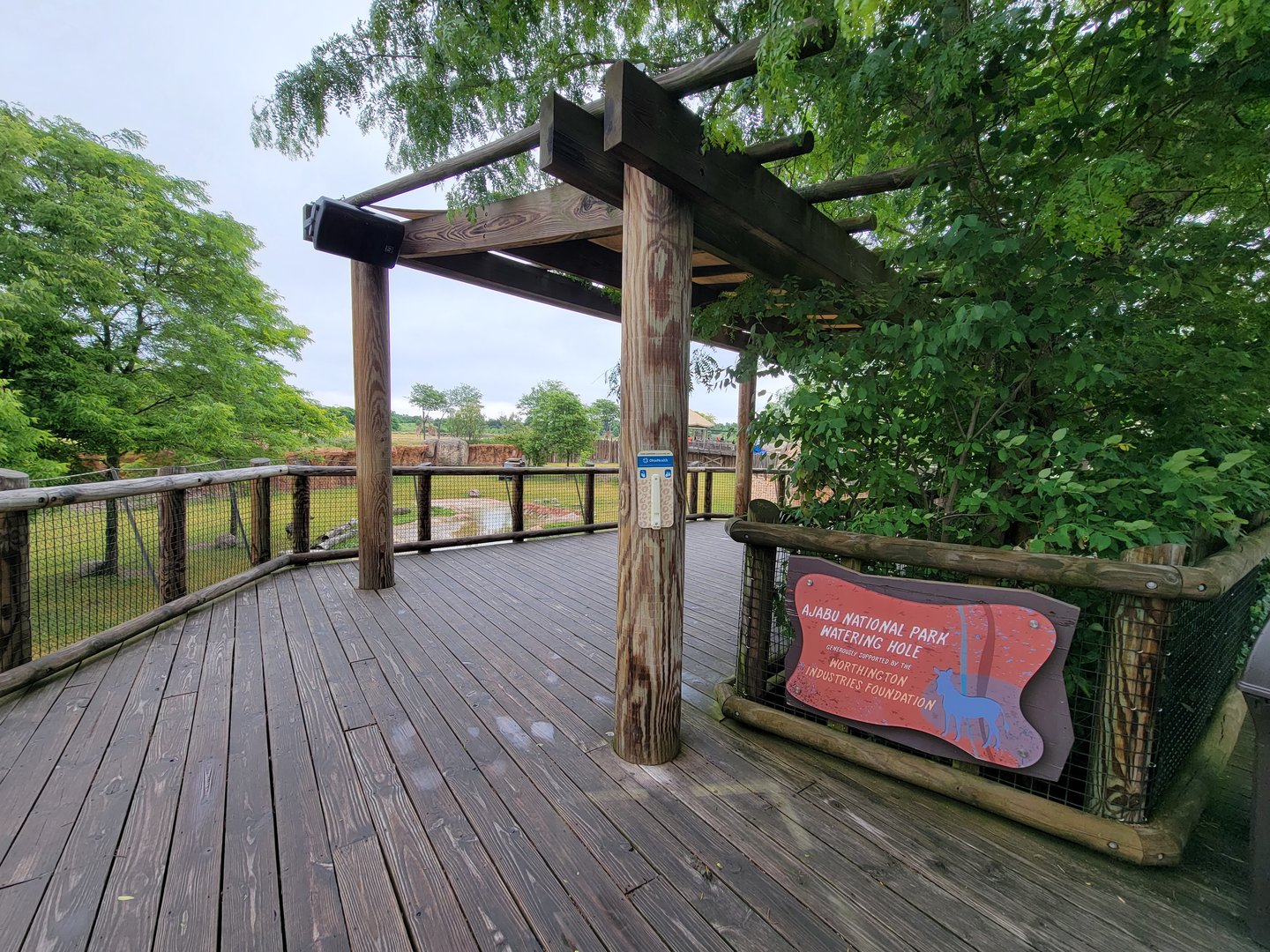 Columbus Zoo - Heart of Africa, Rotational watering hole, spotted hyenas out