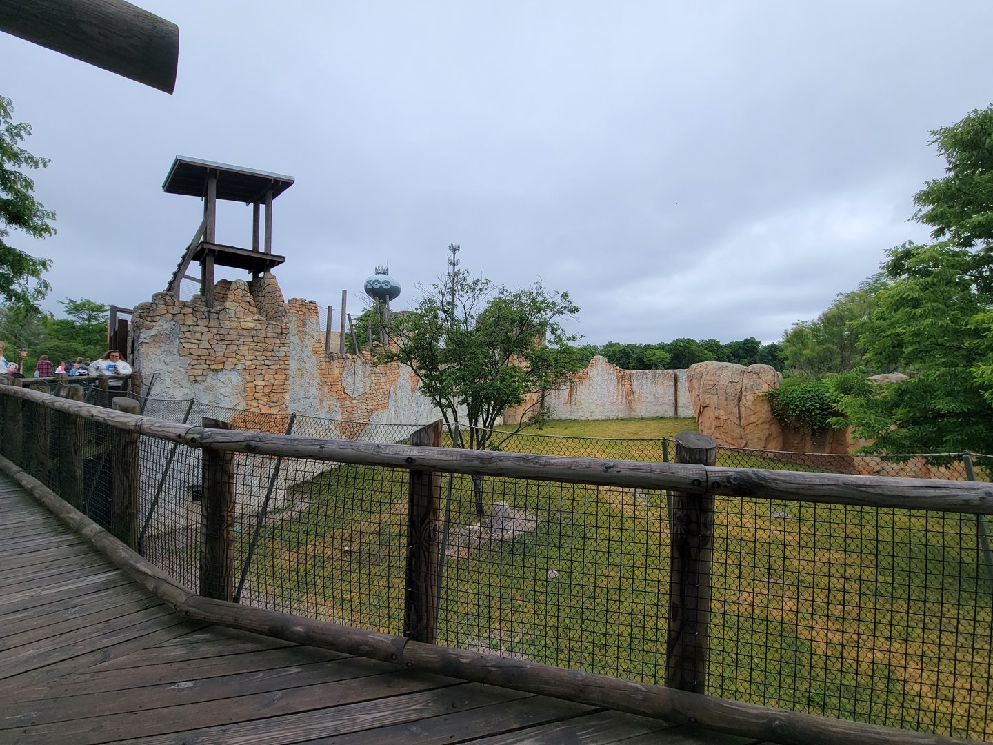 Columbus Zoo - Heart of Africa, Rotational watering hole, spotted hyenas out