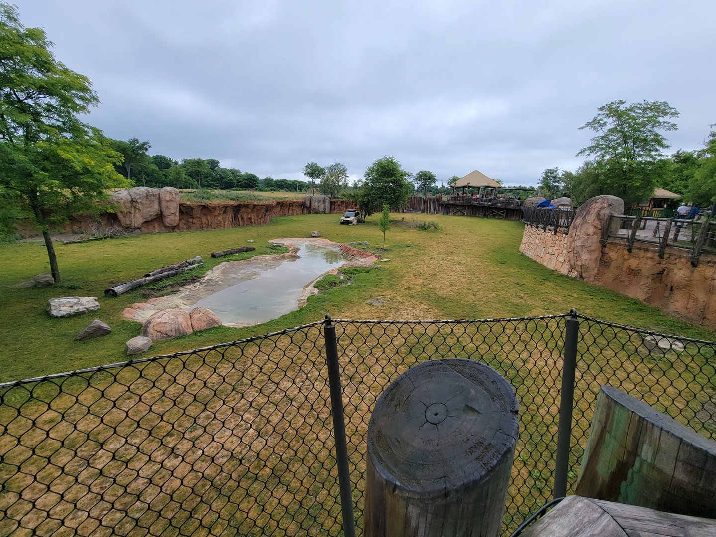 Columbus Zoo - Heart of Africa, Rotational watering hole, spotted hyenas out