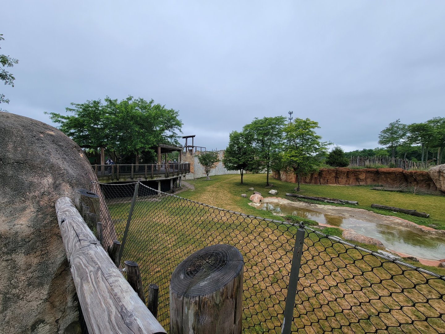 Columbus Zoo - Heart of Africa, Rotational watering hole, spotted hyenas out