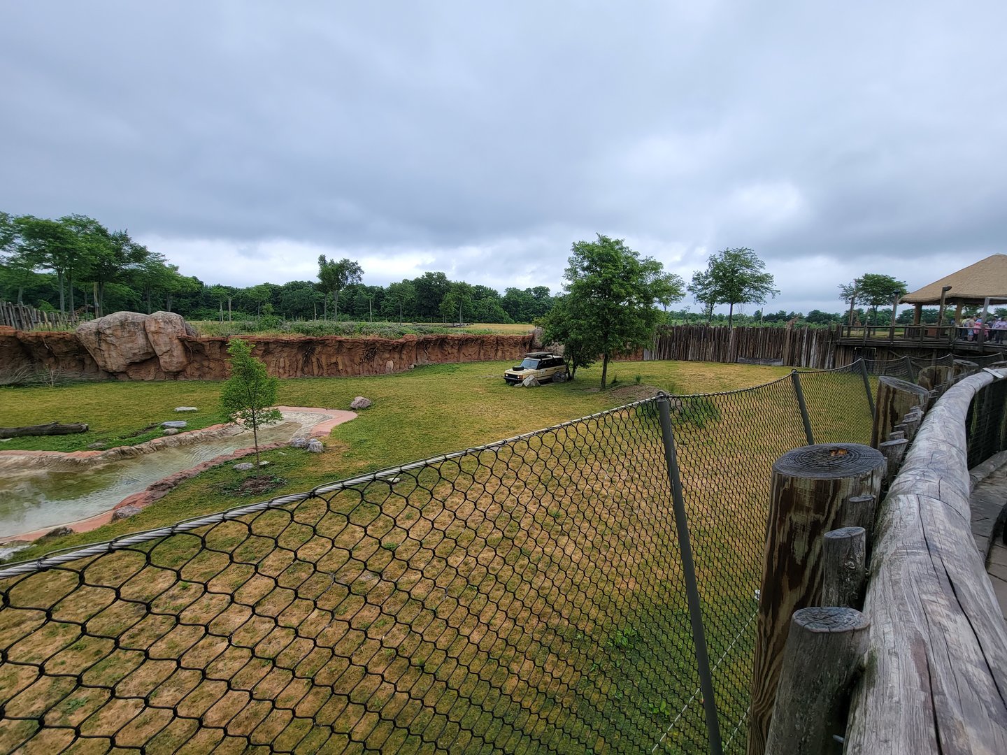 Columbus Zoo - Heart of Africa, Rotational watering hole, spotted hyenas out