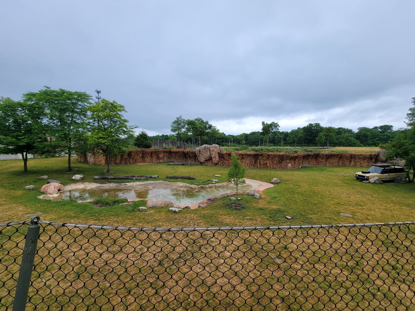 Columbus Zoo - Heart of Africa, Rotational watering hole, spotted hyenas out