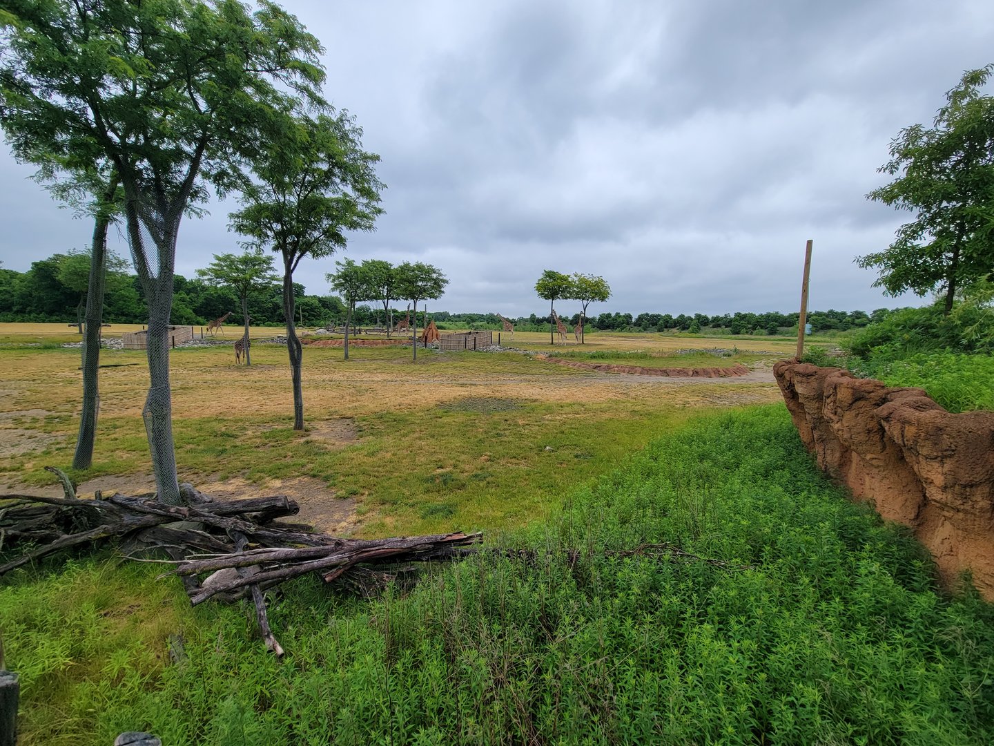 Columbus Zoo - Heart of Africa, Savannah