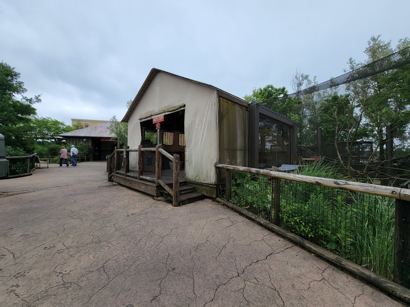 Columbus Zoo - Heart of Africa, Vervet monkeys