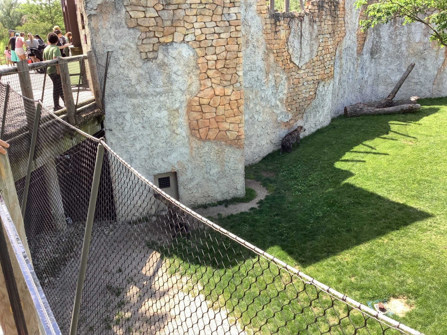Columbus Zoo: Heart of Africa-Watering Hole