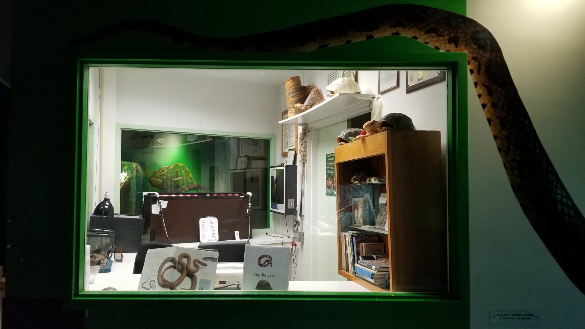 Columbus Zoo - Herp building - "Behind the scenes"