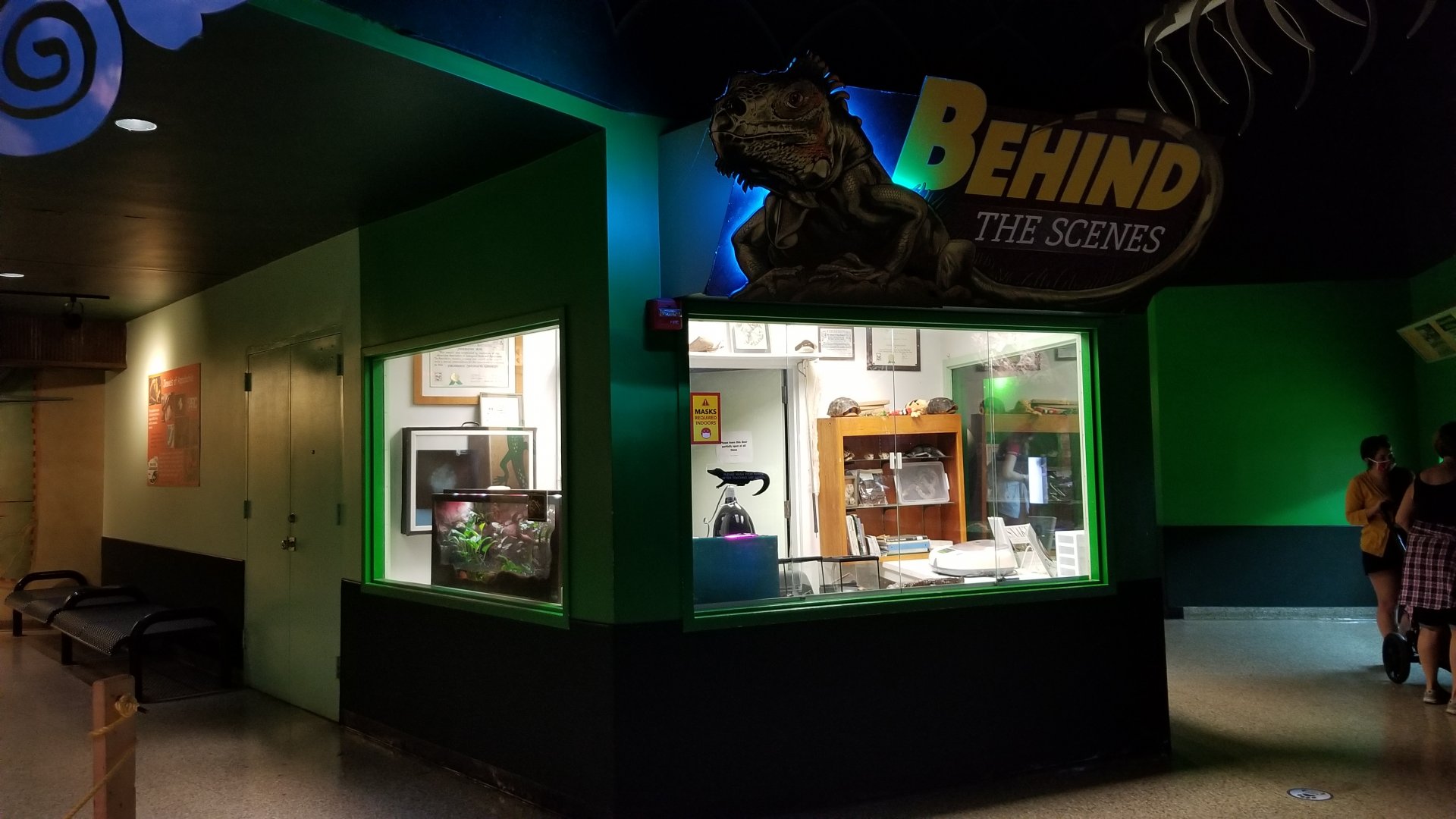 Columbus Zoo - Herp building - "Behind the scenes"