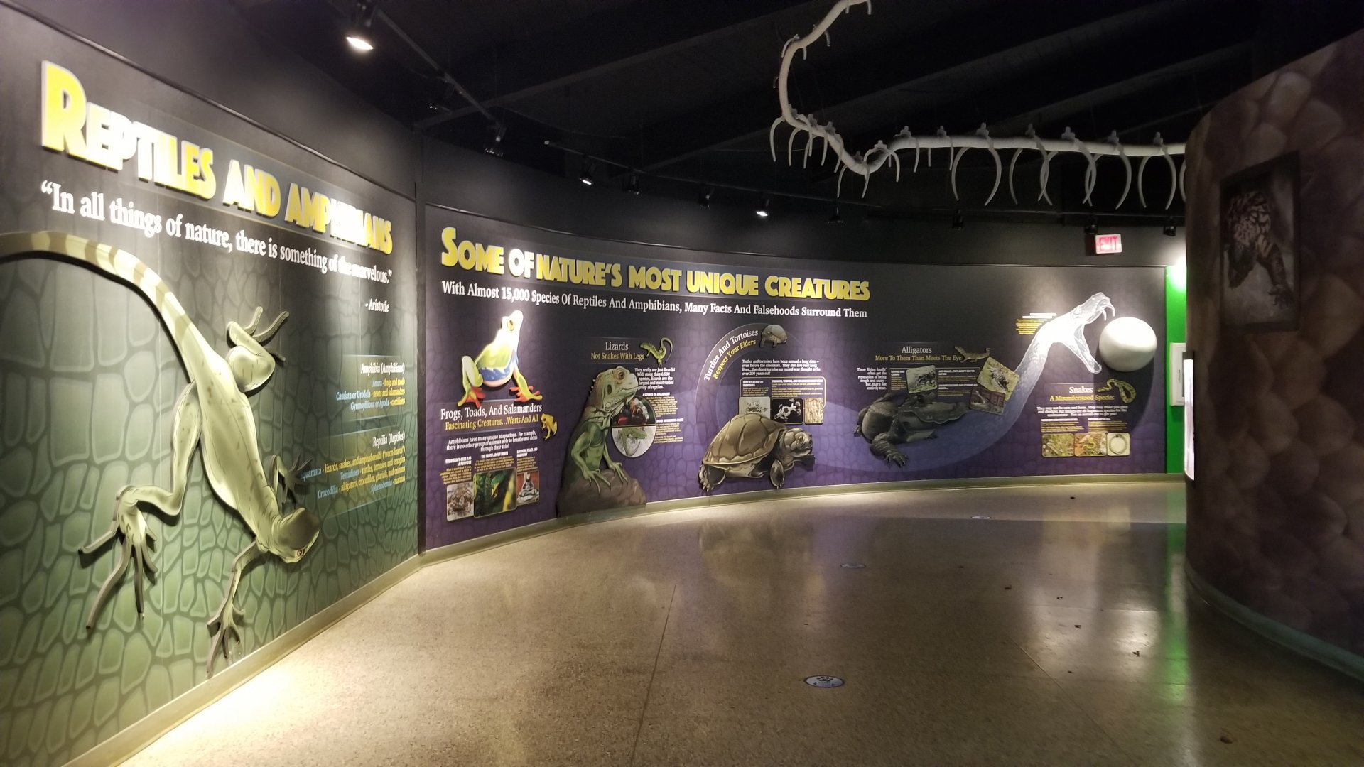 Columbus Zoo - Herp building - Inside entrance