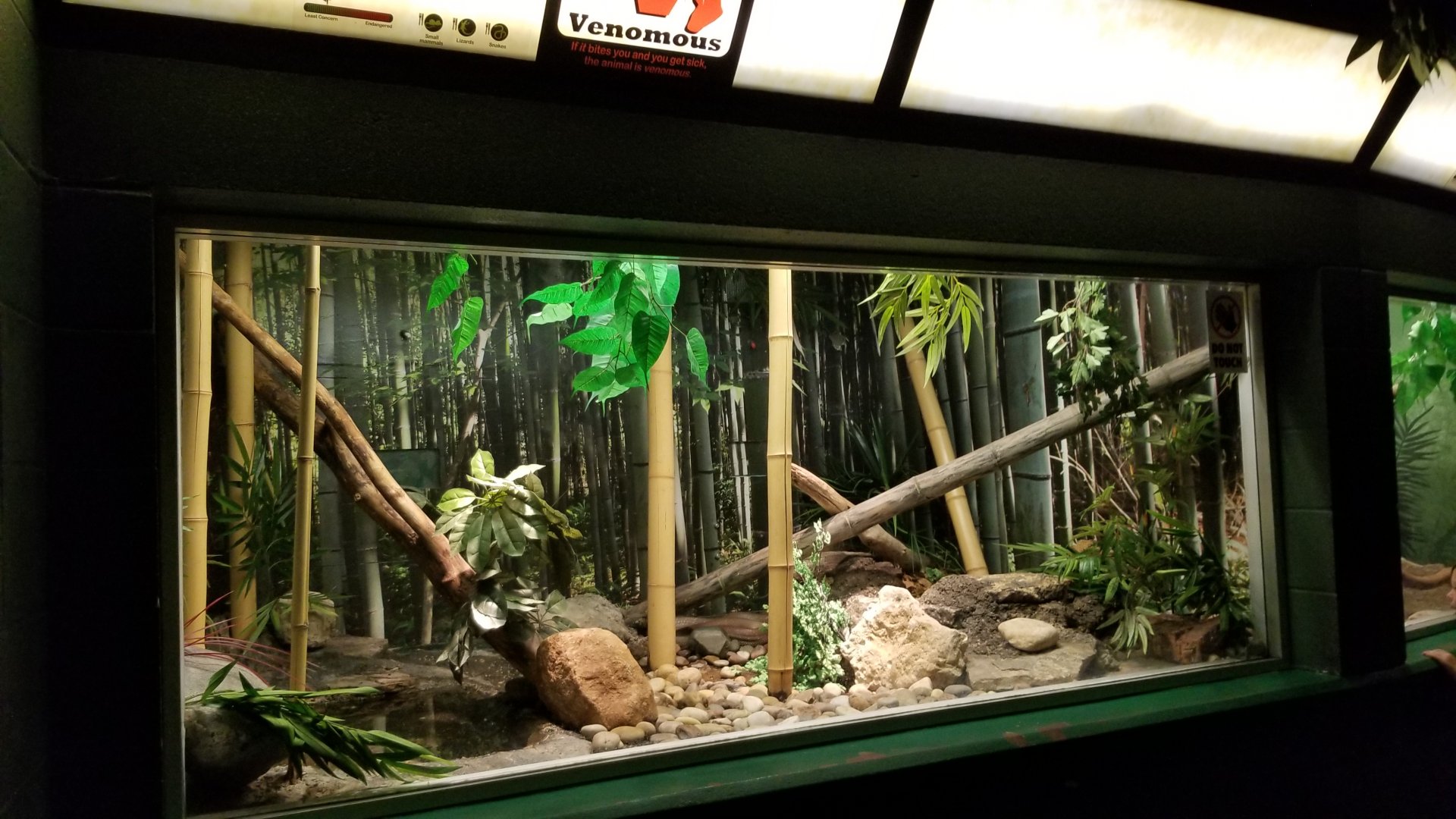 Columbus Zoo - Herp building - King cobra