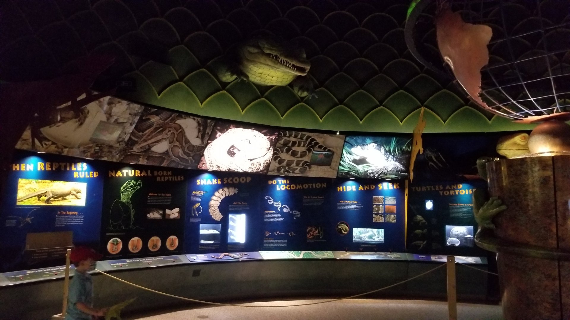 Columbus Zoo - Herp building - Roped off turtle area