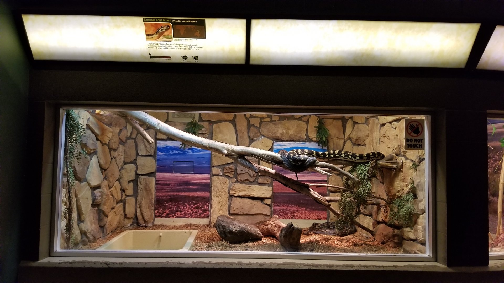 Columbus Zoo - Herp building - Scrub pythons