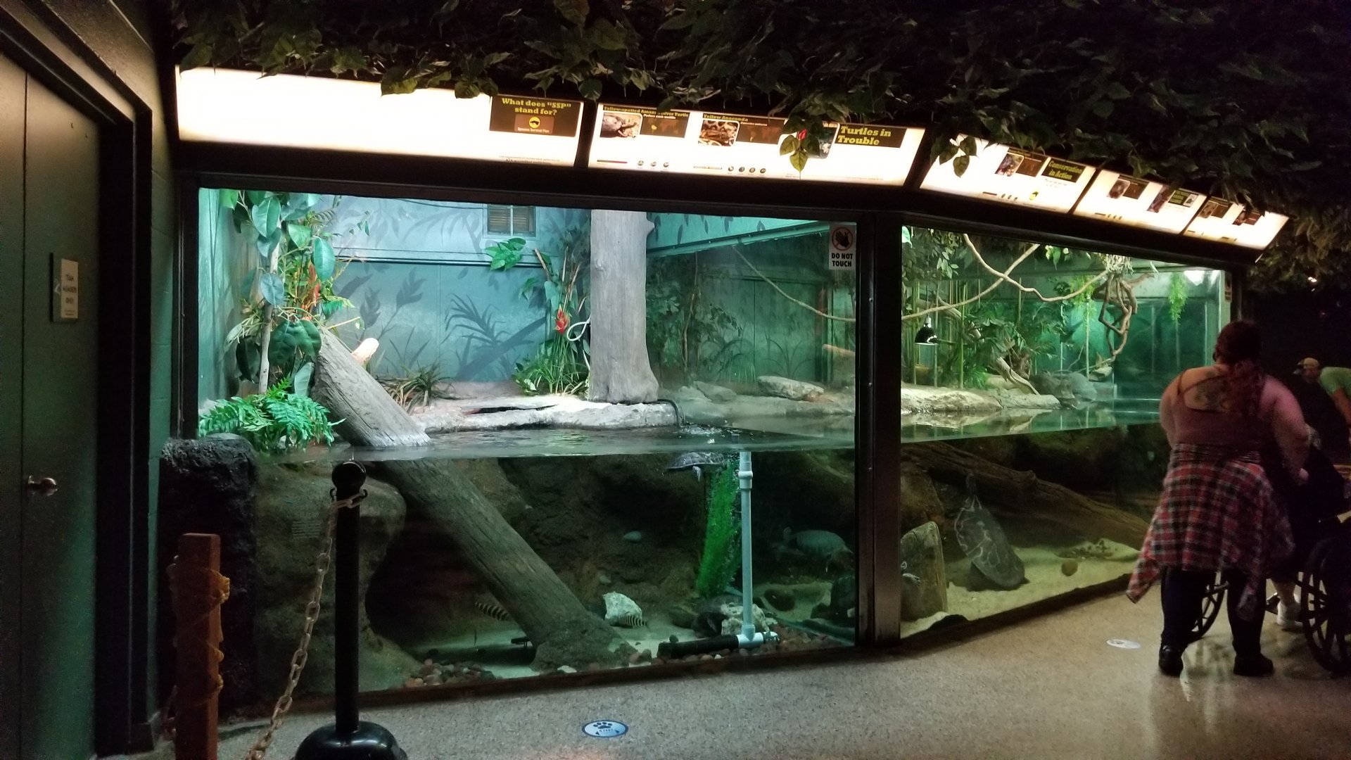 Columbus Zoo - Herp building - South american turtles