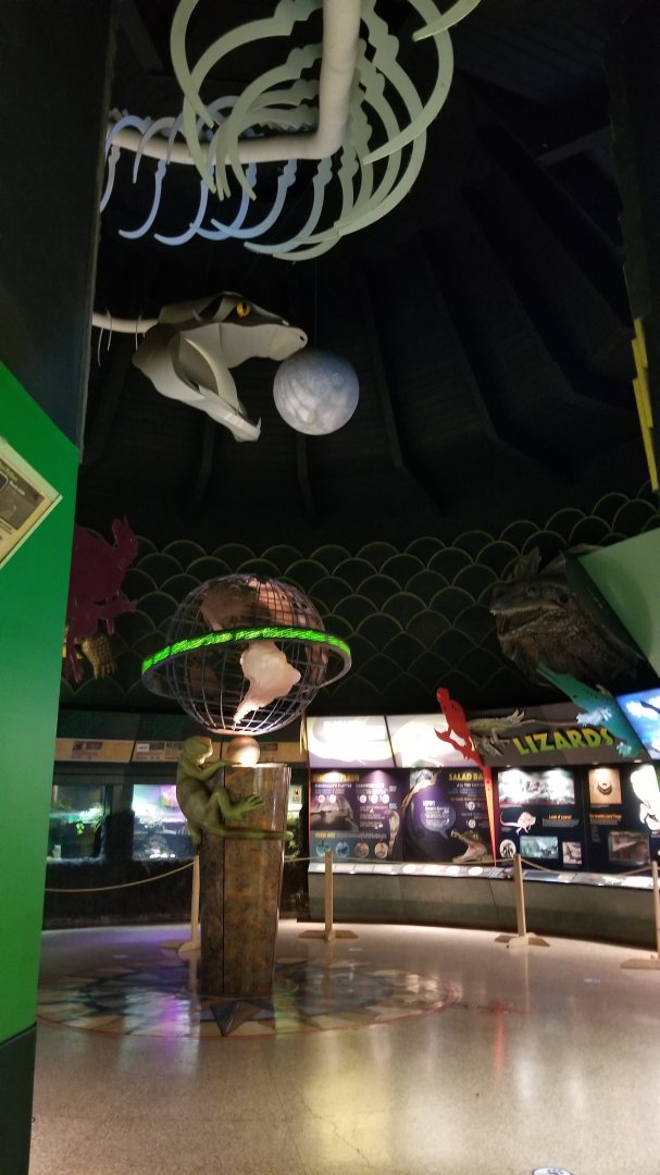 Columbus Zoo - Herp building - Turtle and frog area