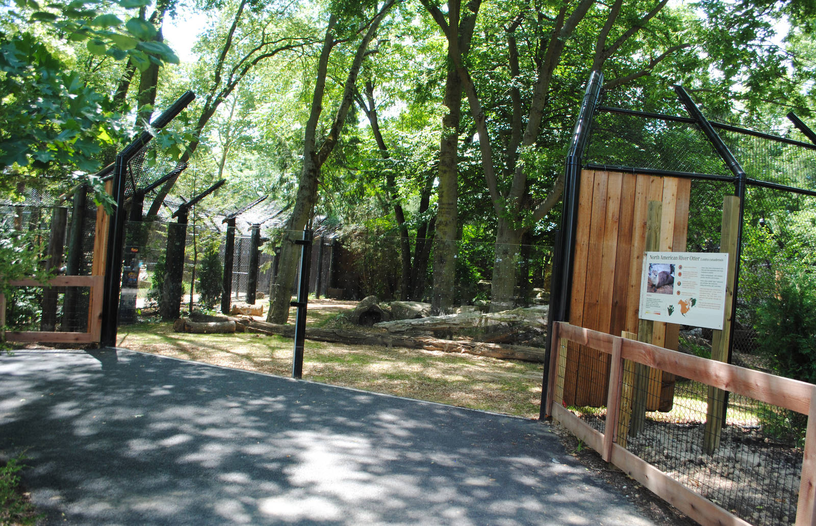 Columbus Zoo - July 16 2016 - Updated Otter Exhibit