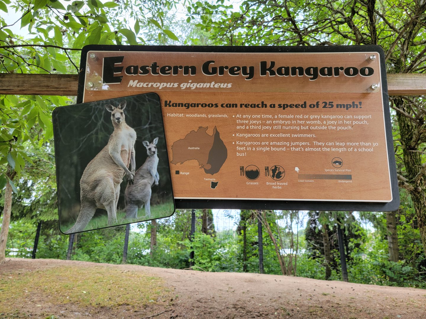 Columbus Zoo - Kangaroo Station signage example
