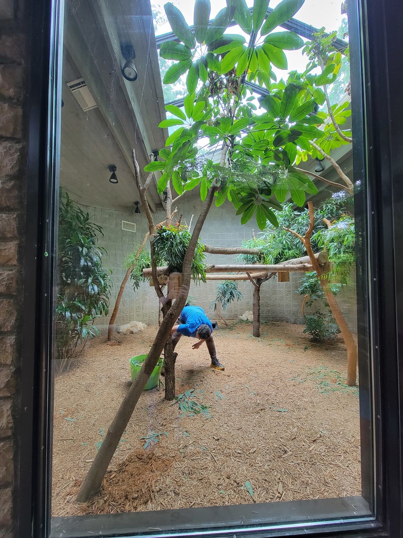 Columbus Zoo - Koala indoor area (with a hidden koala)