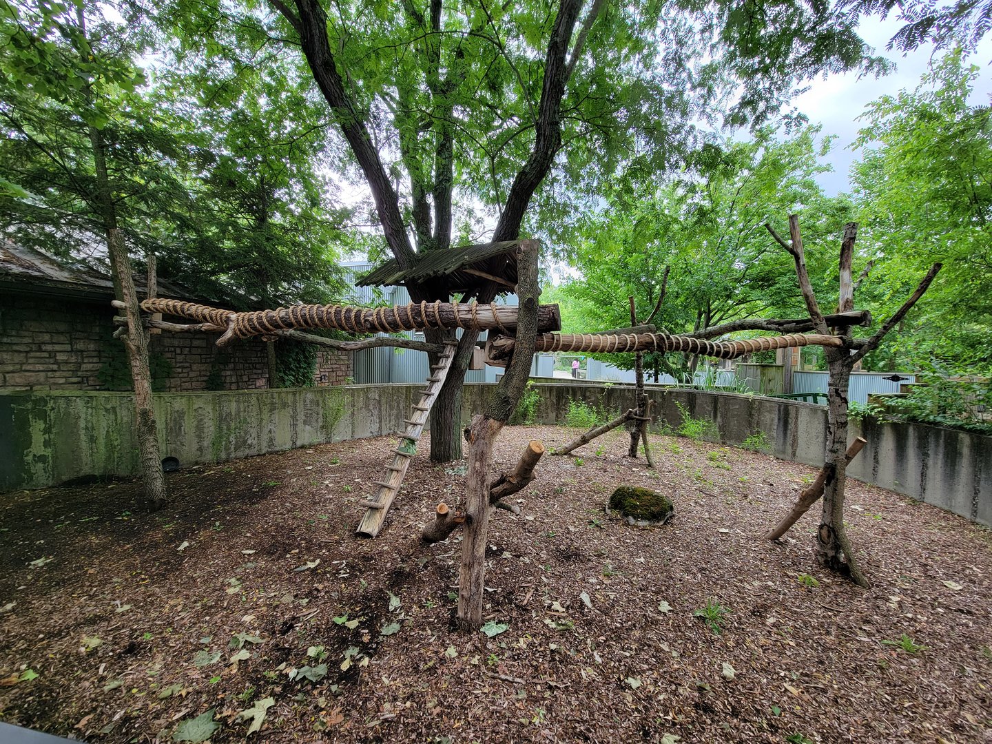 Columbus Zoo - Koala outdoor area
