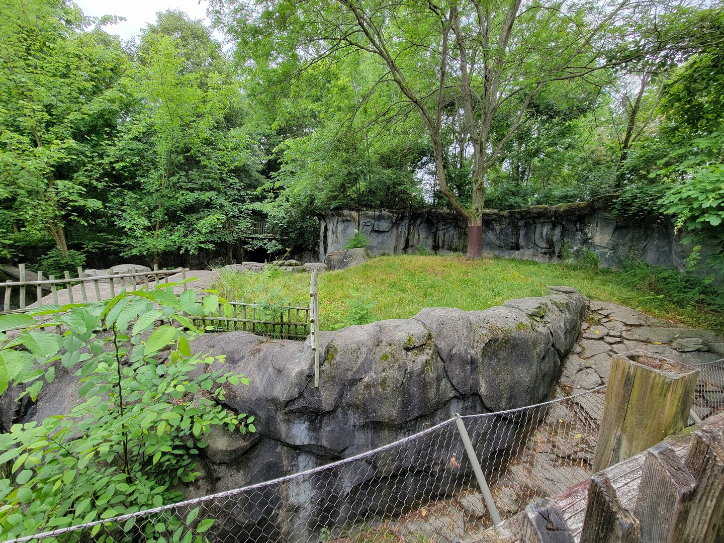 Columbus Zoo - Komodo dragon outdoor viewing