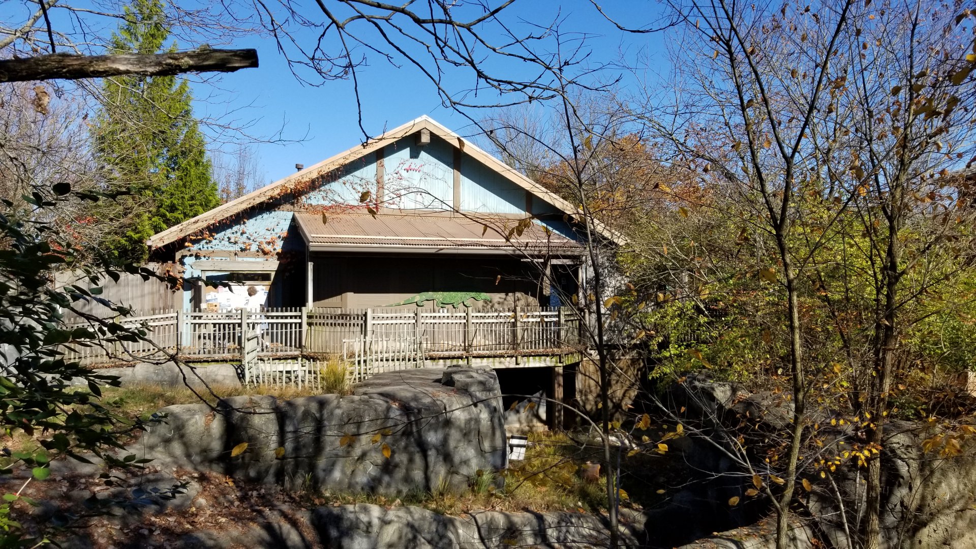 Columbus Zoo - Komodo viewing from across the outdoor area