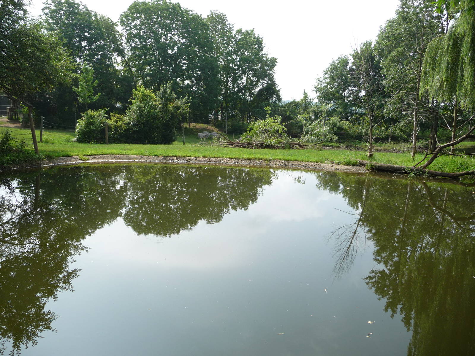Columbus Zoo - Moose Pond