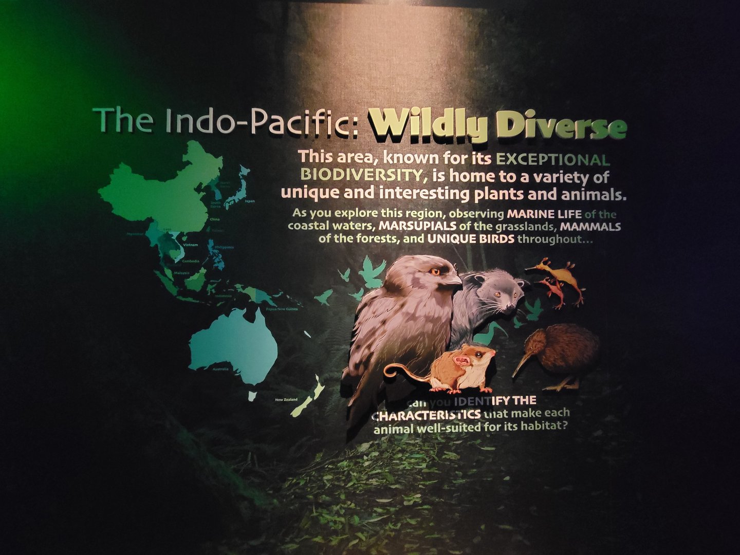 Columbus Zoo - New entrance sign inside Australia building