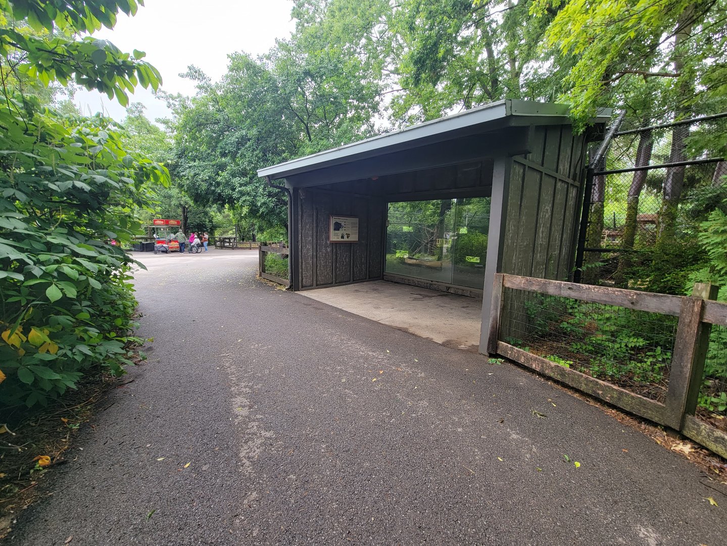 Columbus Zoo - North America, Black bears