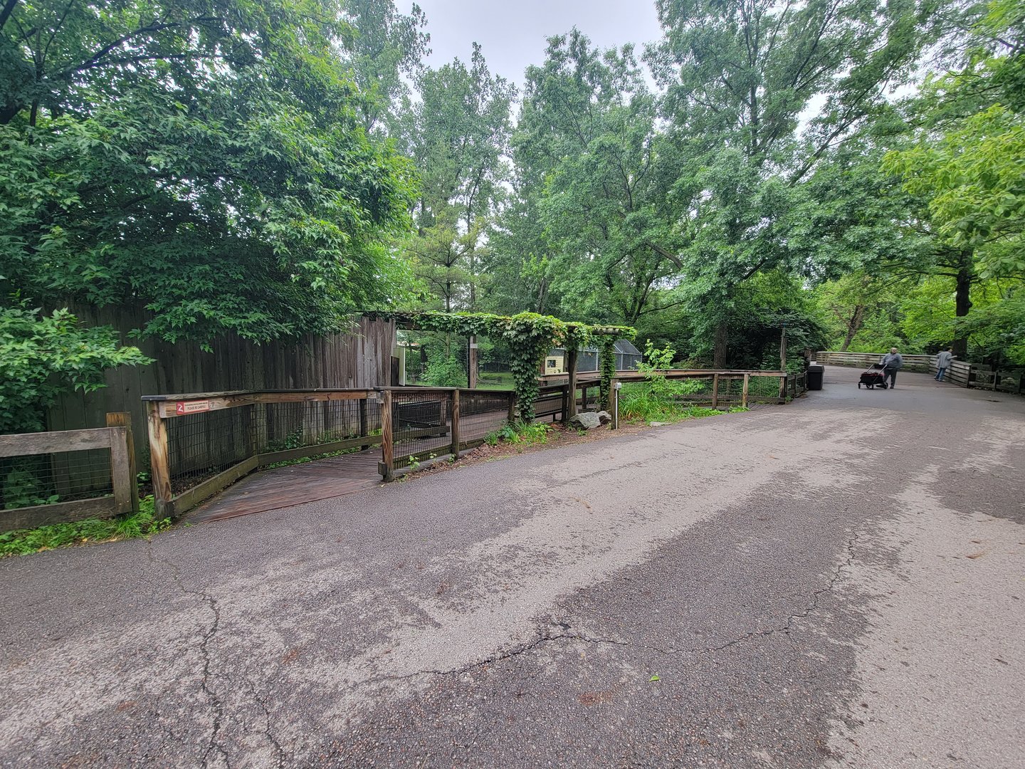 Columbus Zoo - North America, Mexican gray wolves