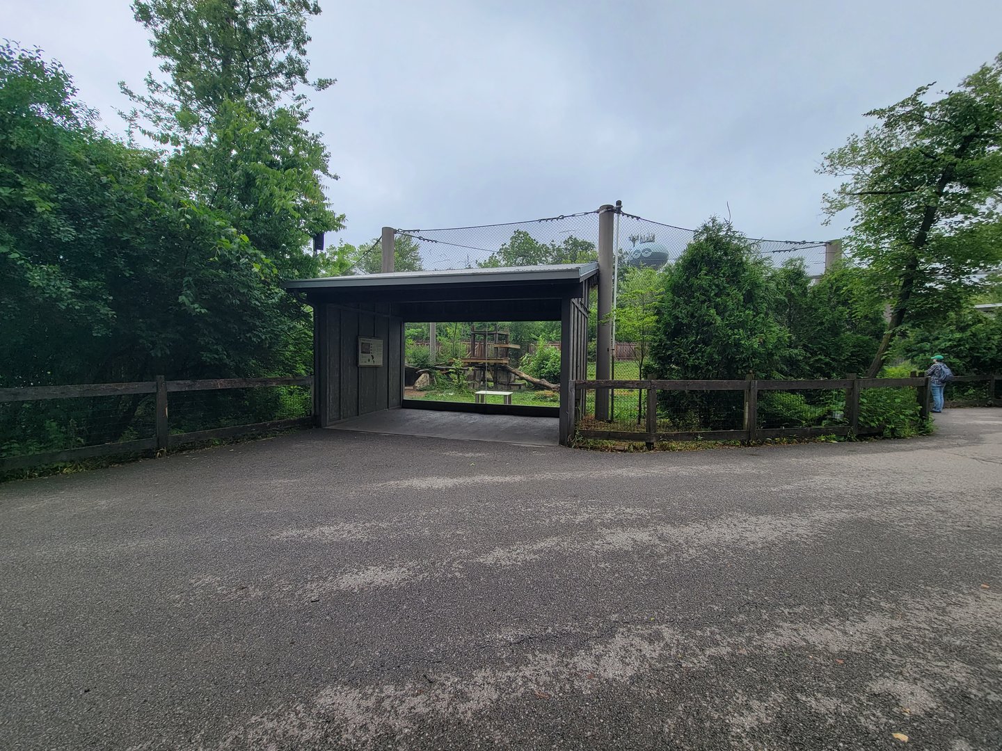 Columbus Zoo - North America, Mountain lions