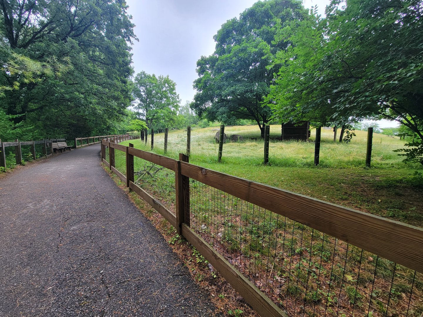 Columbus Zoo - North America path, former bison/pronghorn exhibit on right