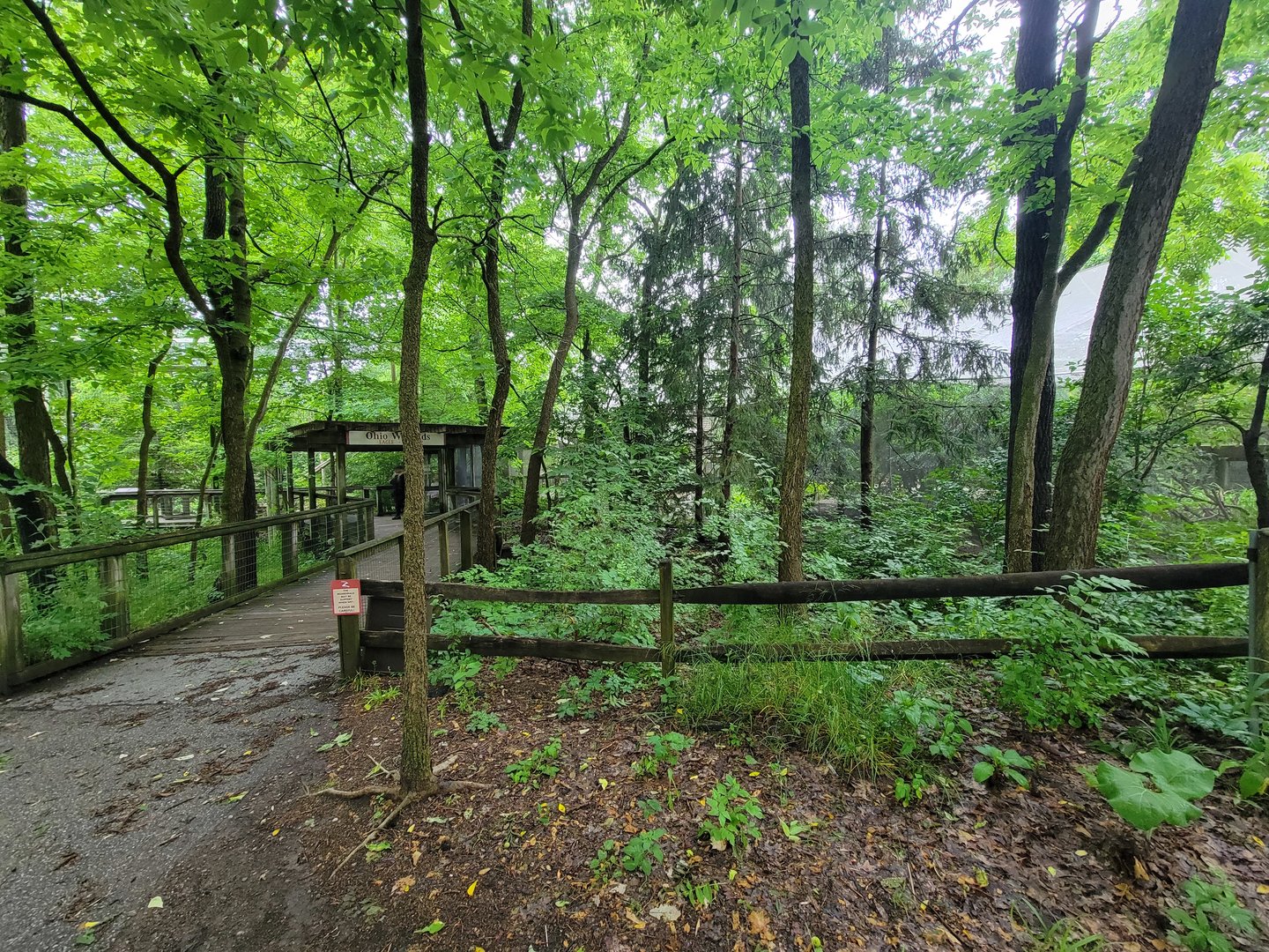 Columbus Zoo - North America, path to birds from other end