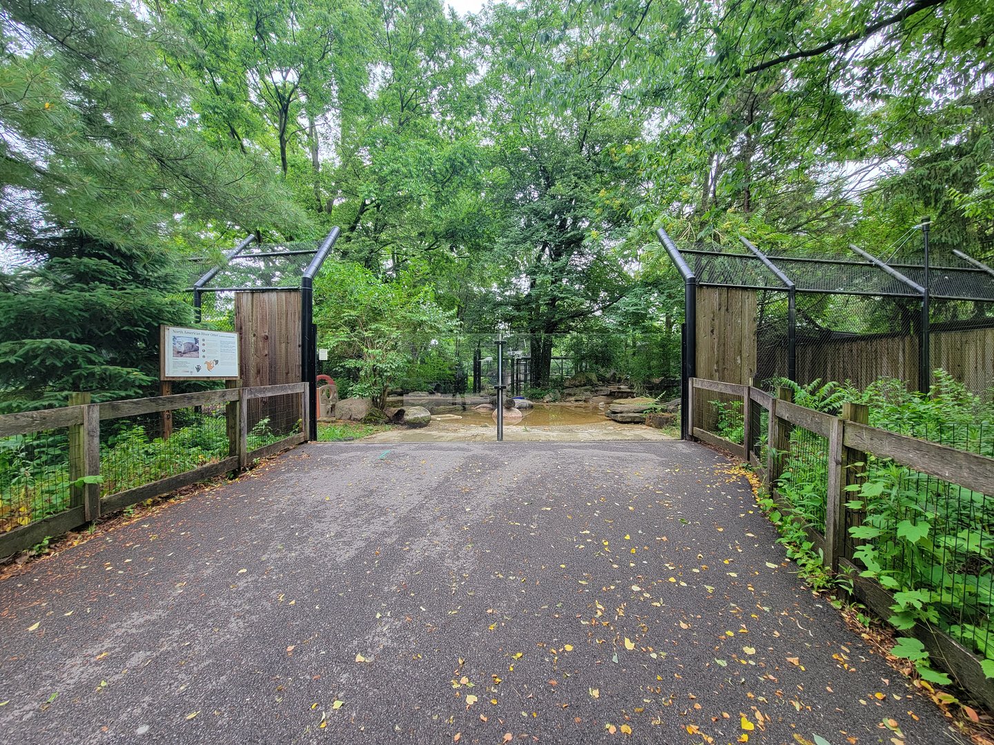 Columbus Zoo - North America, River otters