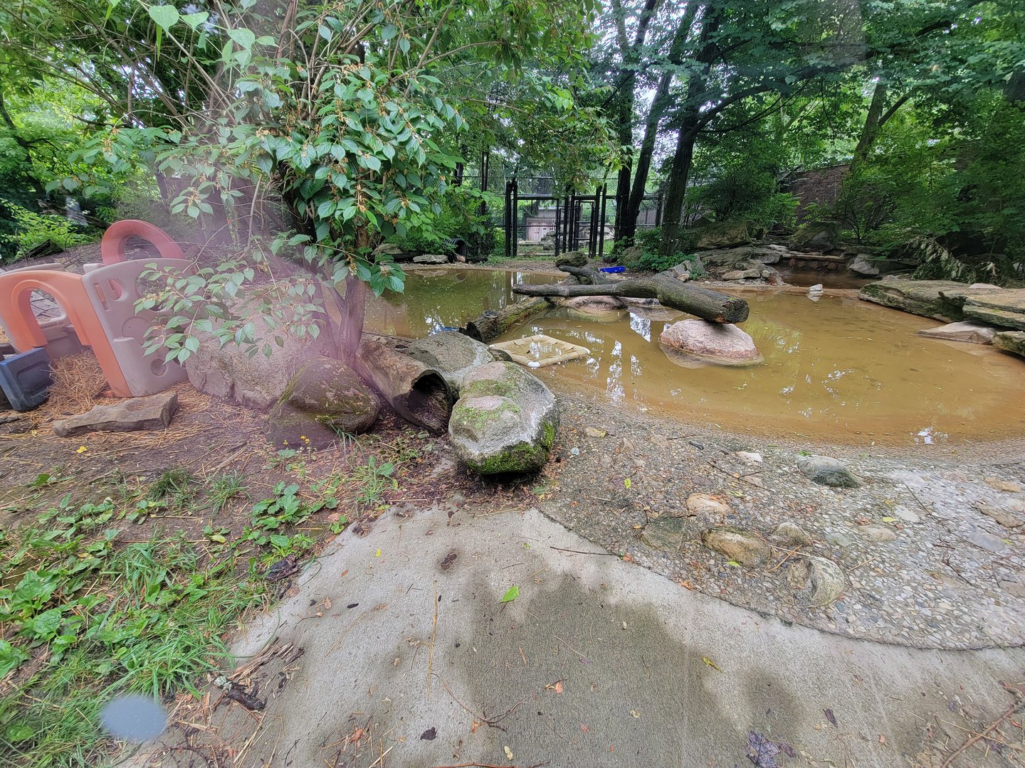 Columbus Zoo - North America, River otters
