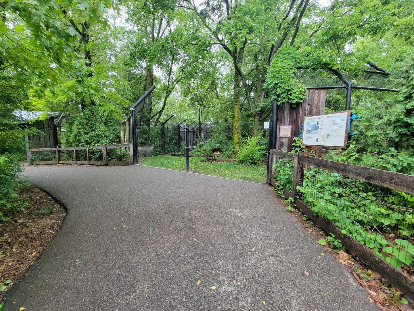Columbus Zoo - North America, River otters