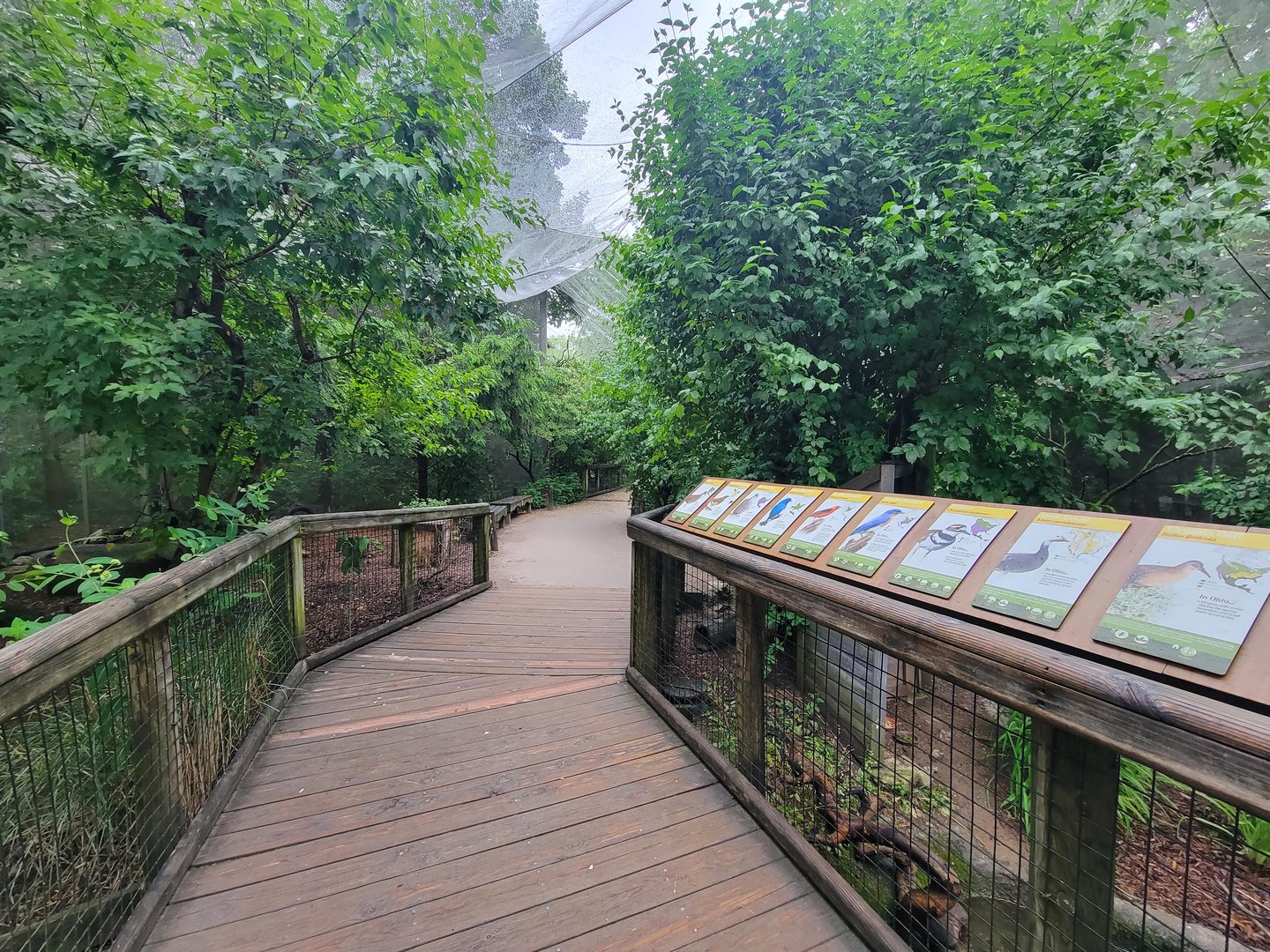 Columbus Zoo - North America Songbird Aviary, looking back