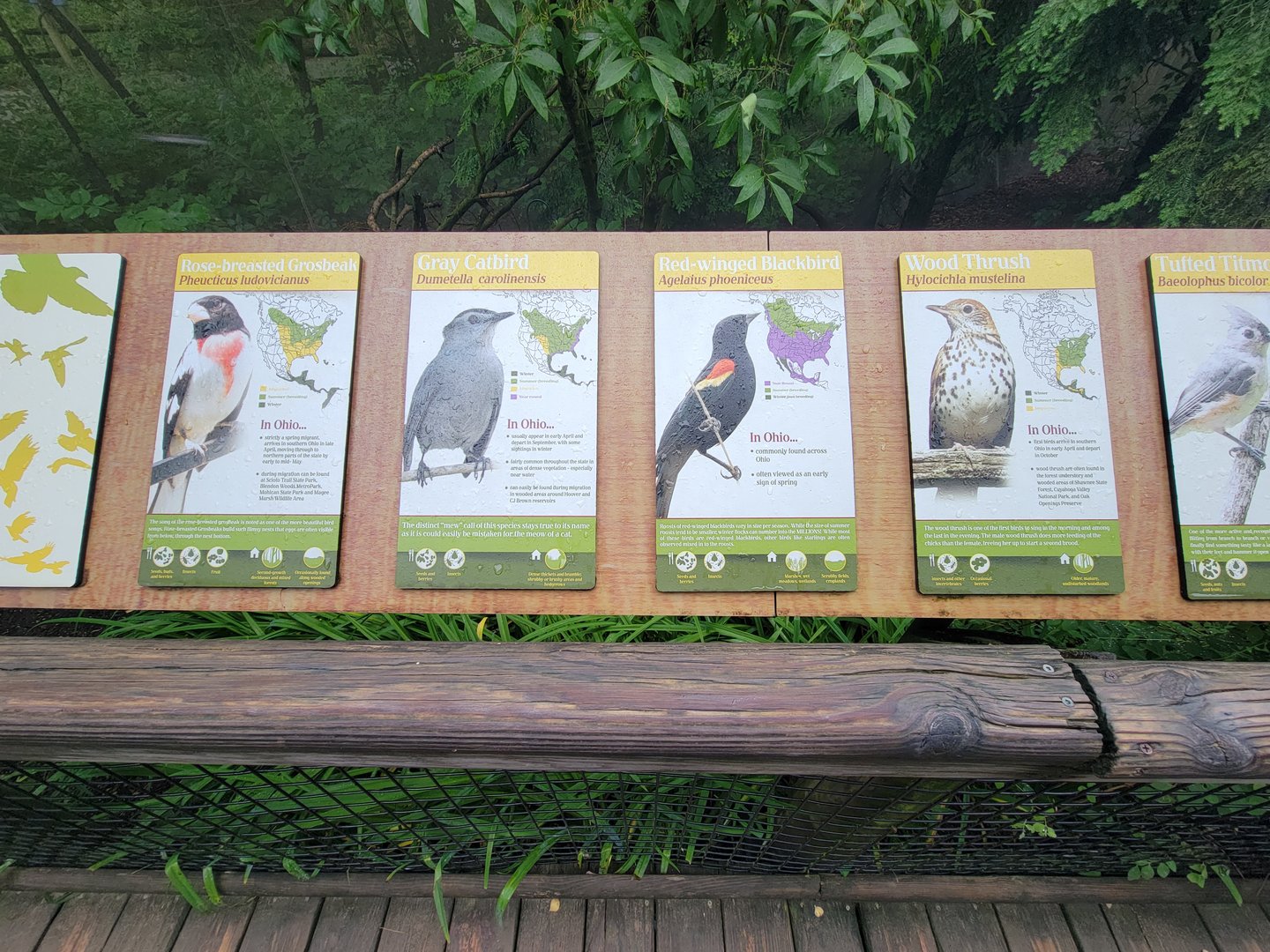 Columbus Zoo - North America Songbird Aviary signs, rose-breasted grosbeak - gray catbird - red-winged blackbird - wood thrush