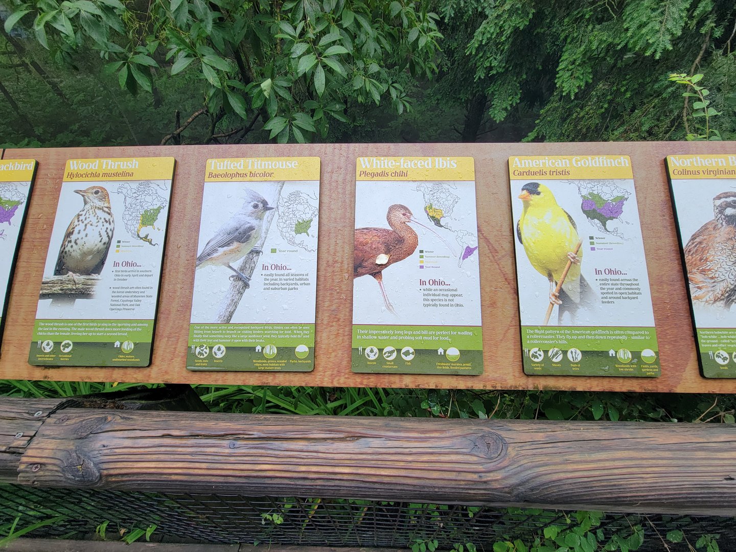 Columbus Zoo - North America Songbird Aviary signs, wood thrush - tufted titmouse - white-faced ibis - American goldfinch