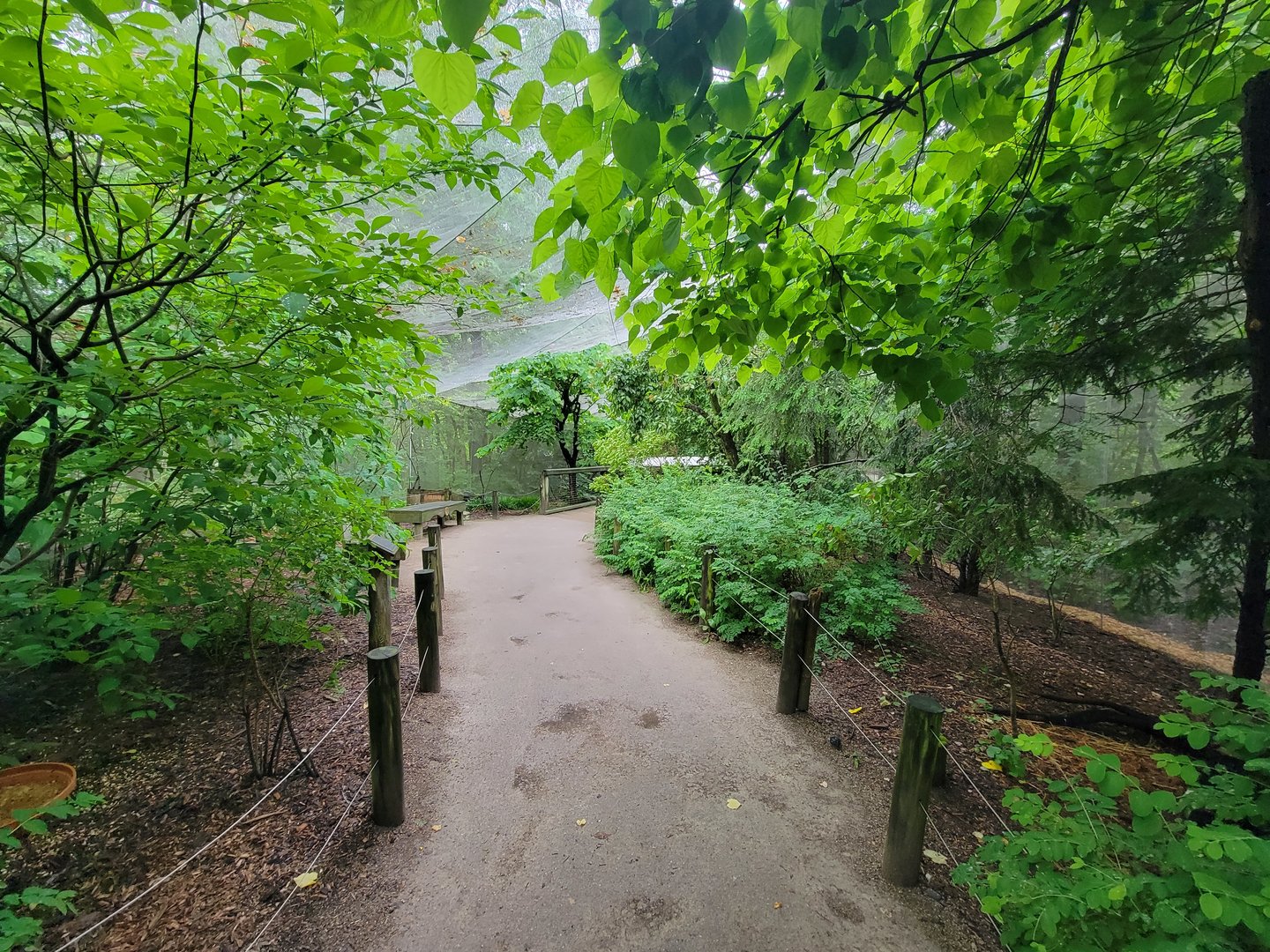 Columbus Zoo - North America Songbird Aviary
