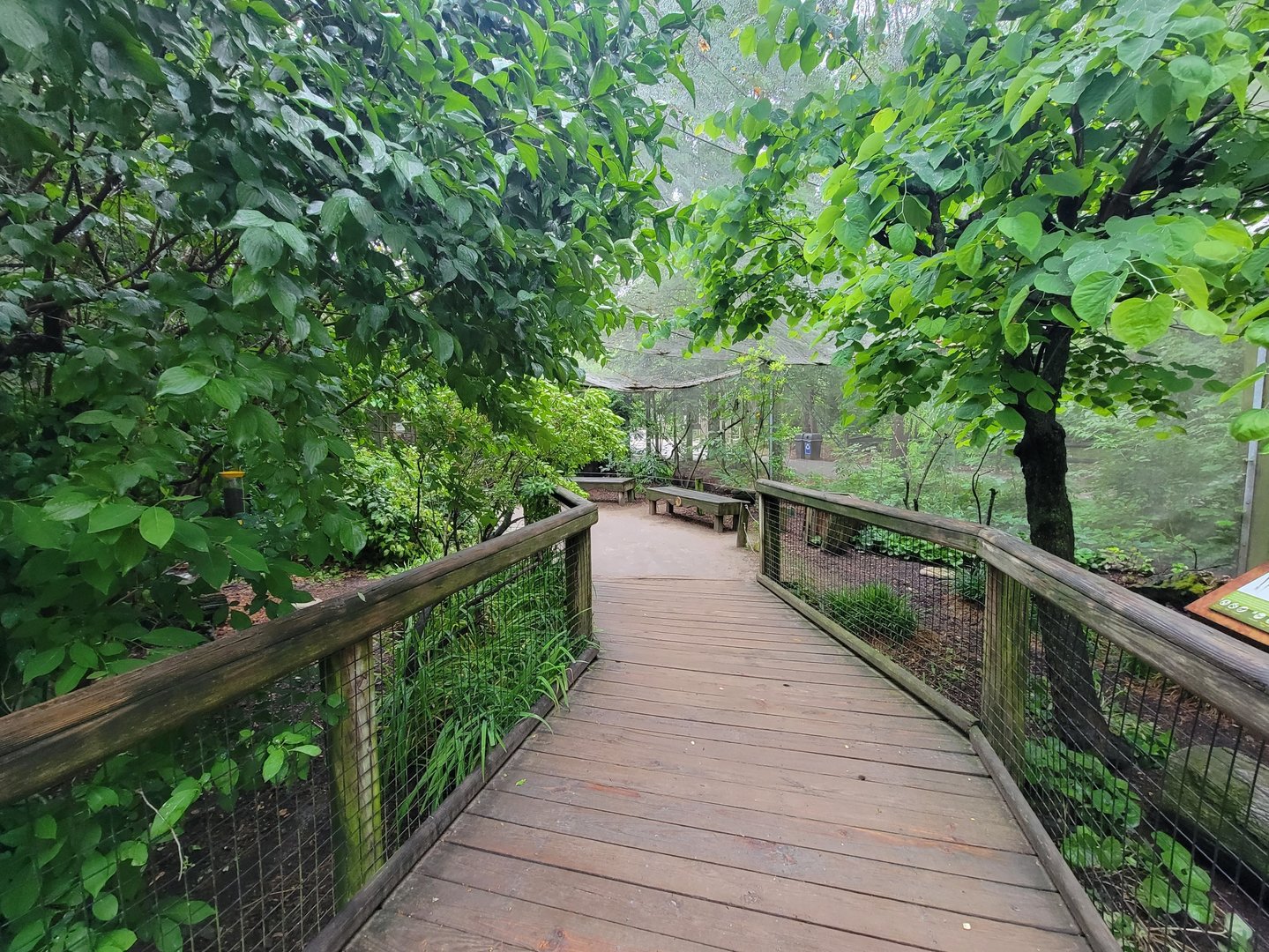 Columbus Zoo - North America Songbird Aviary