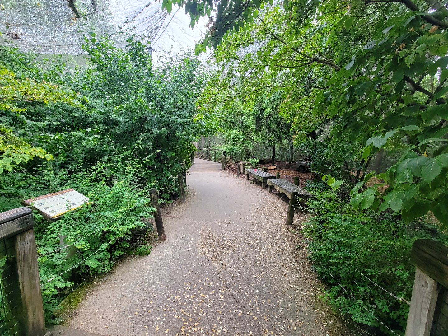 Columbus Zoo - North America Songbird Aviary