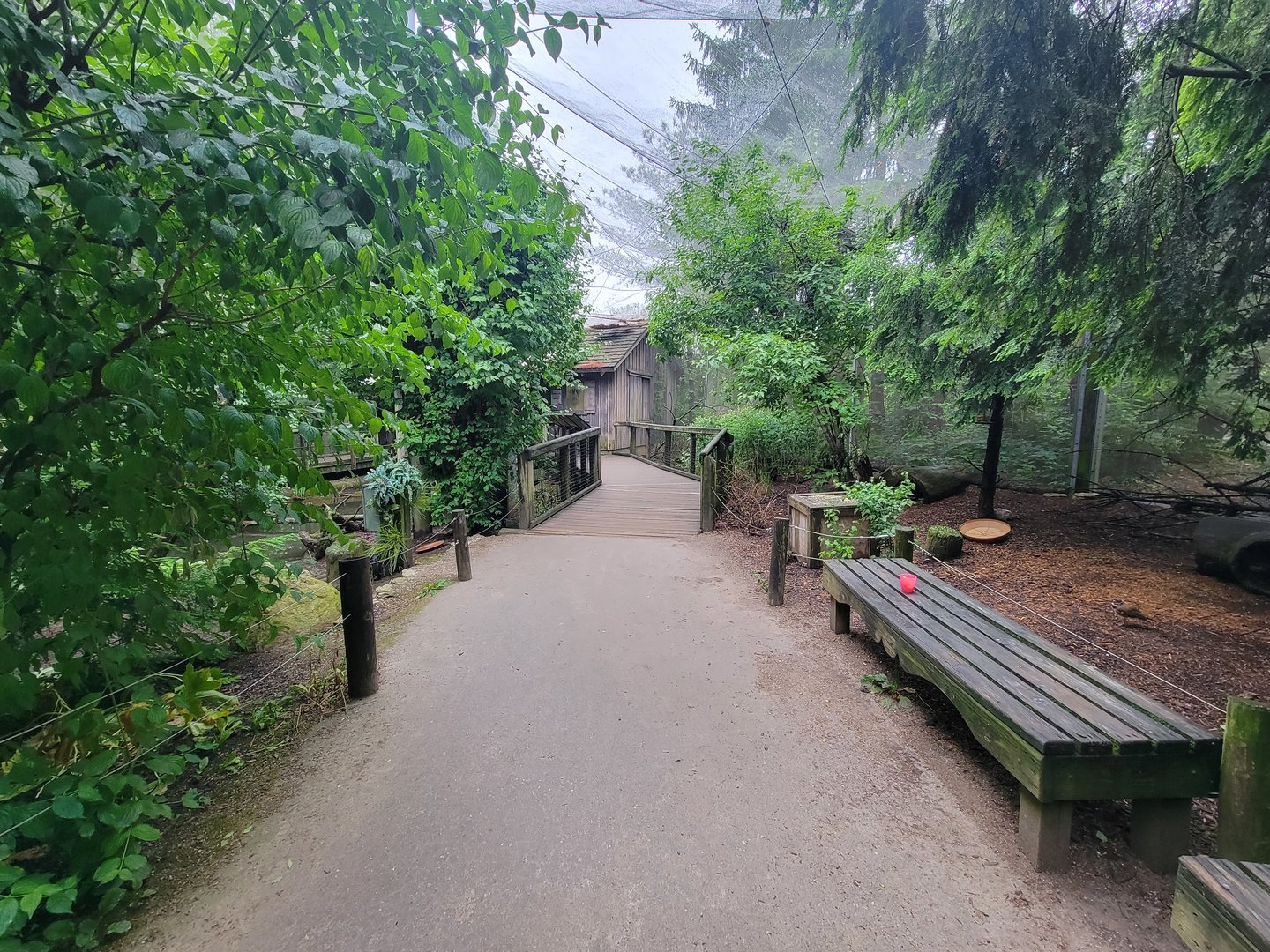 Columbus Zoo - North America Songbird Aviary