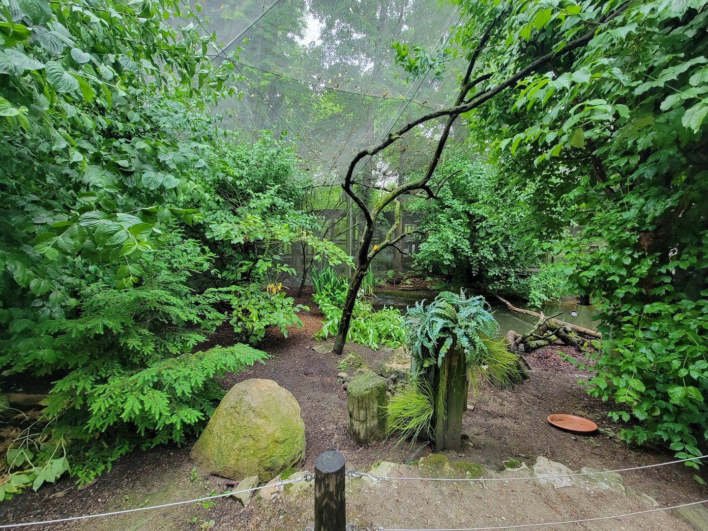 Columbus Zoo - North America Songbird Aviary