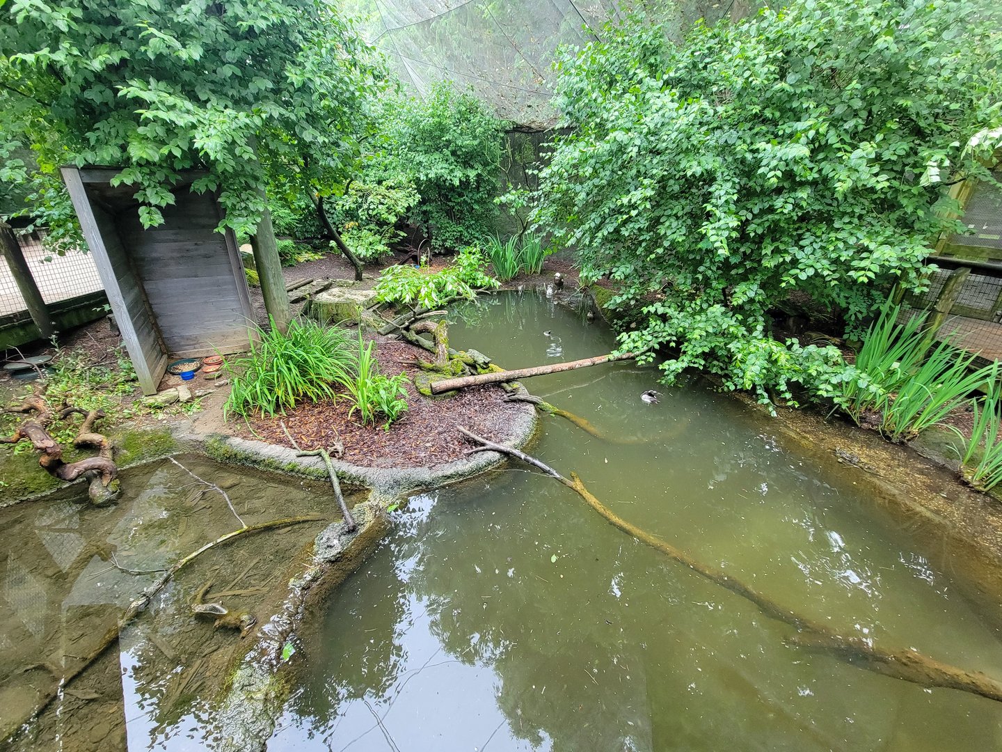 Columbus Zoo - North America Songbird Aviary