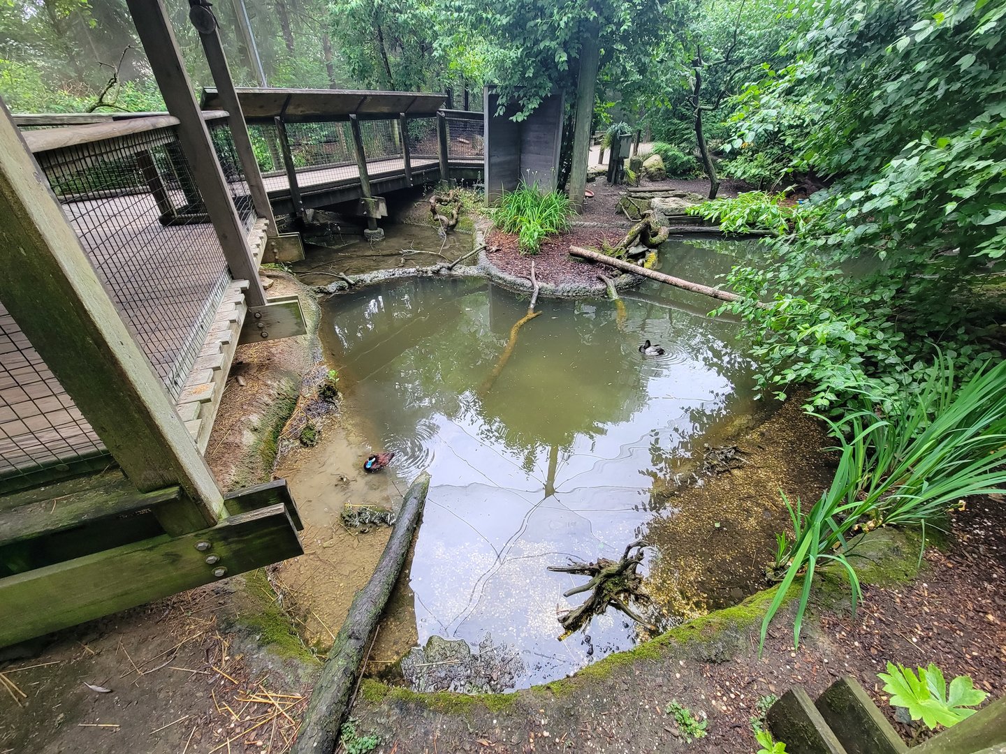 Columbus Zoo - North America Songbird Aviary