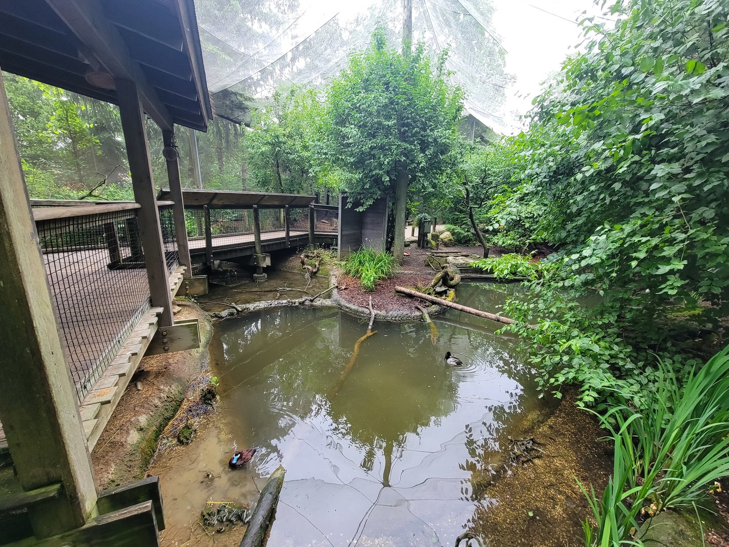 Columbus Zoo - North America Songbird Aviary