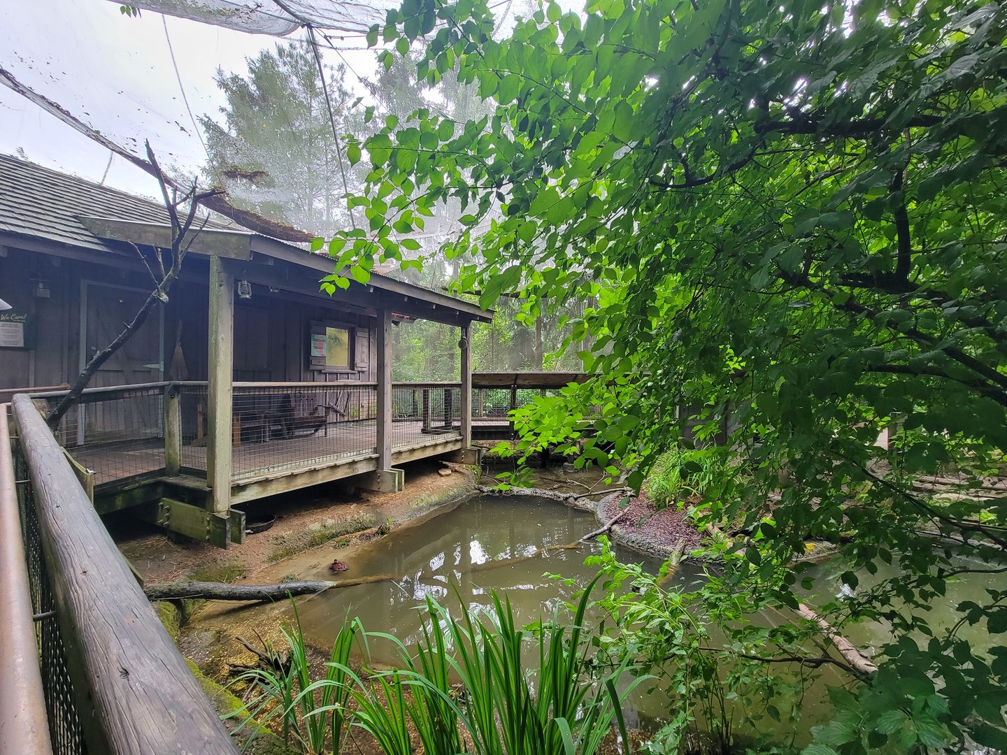 Columbus Zoo - North America Songbird Aviary