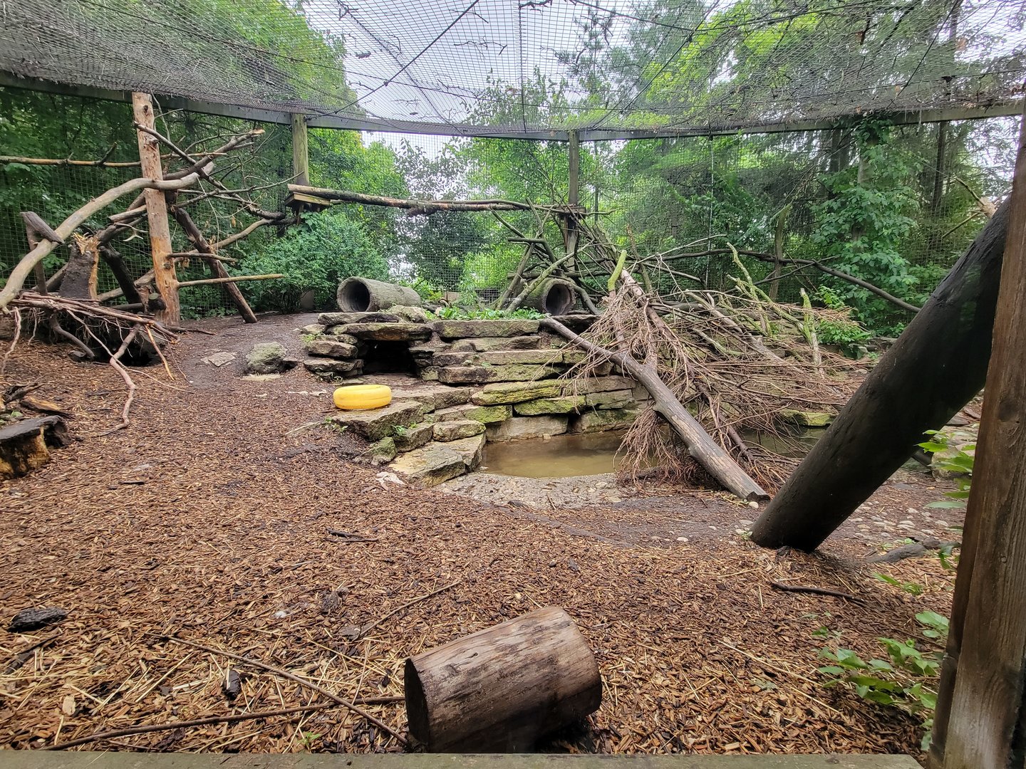 Columbus Zoo - North America, Wolverines