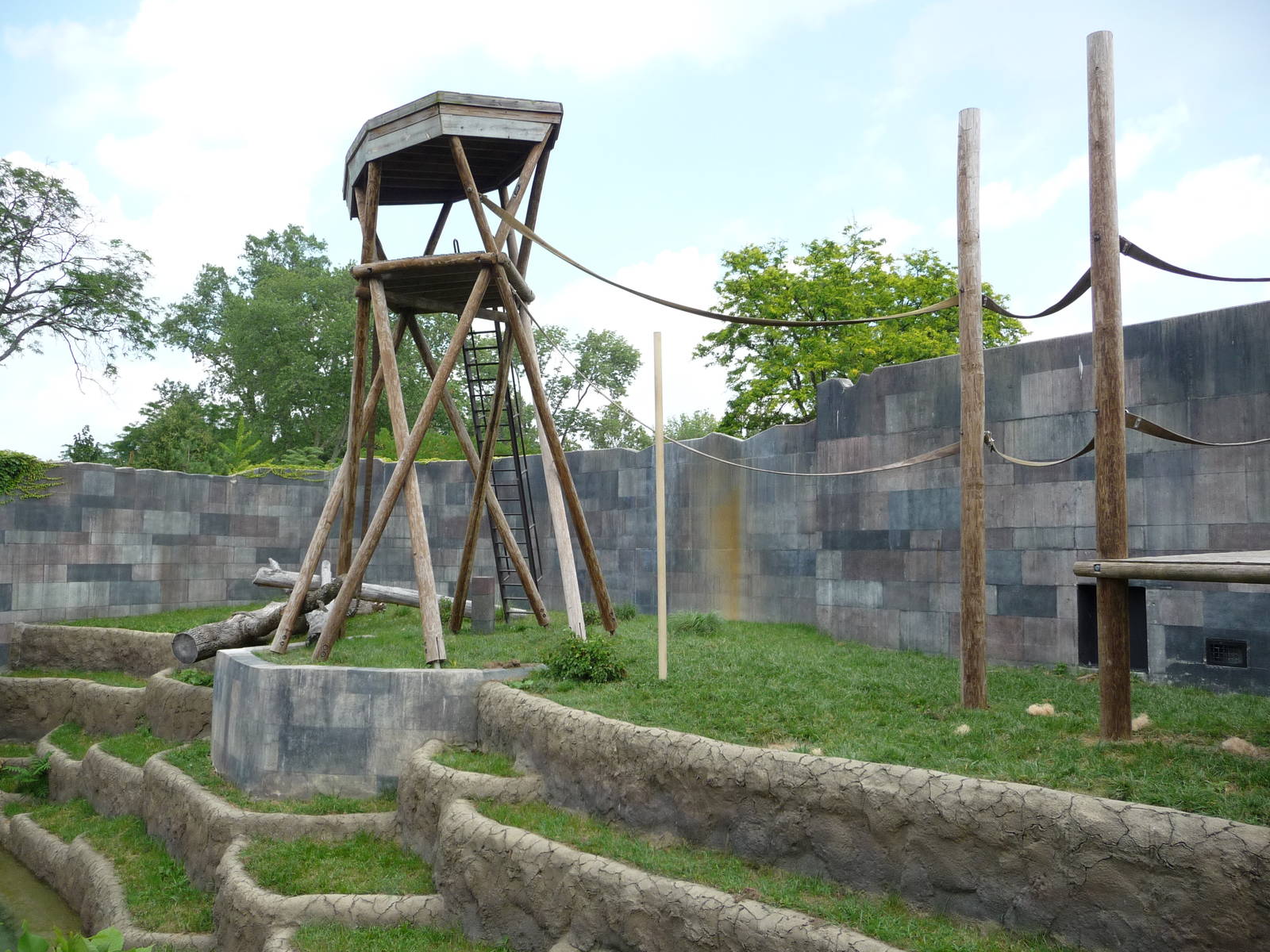 Columbus Zoo - Orangutan Exhibit