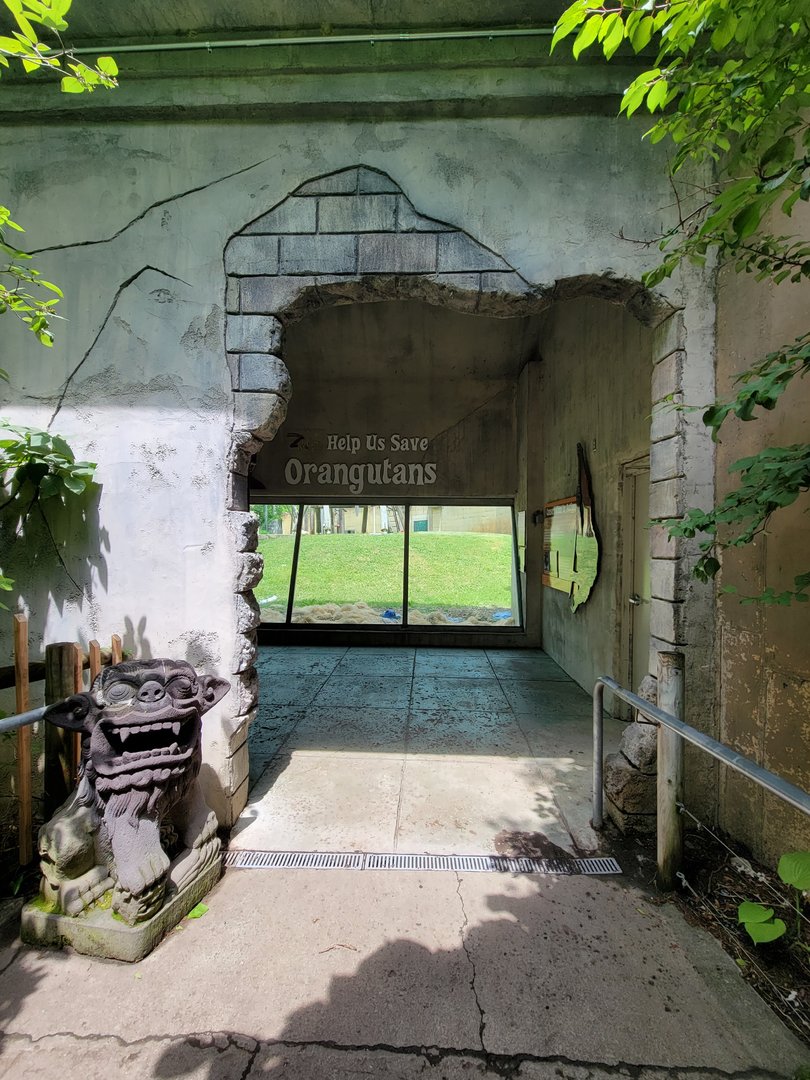 Columbus Zoo - Orangutan viewing