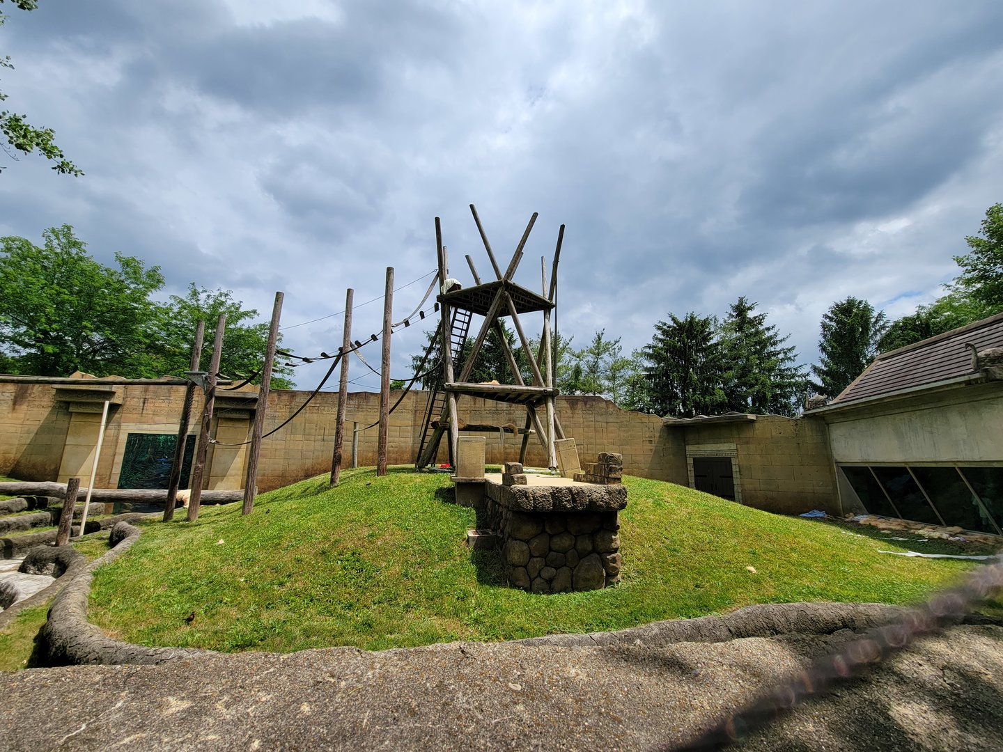 Columbus Zoo - Orangutan viewing