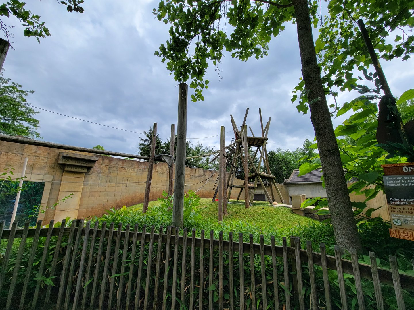 Columbus Zoo - Orangutan viewing